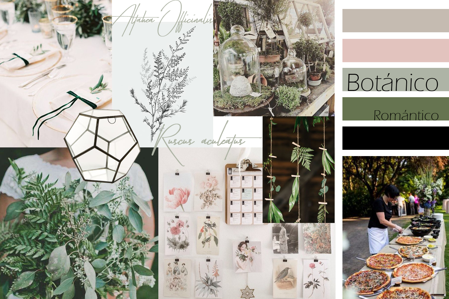 moodboard_botánico