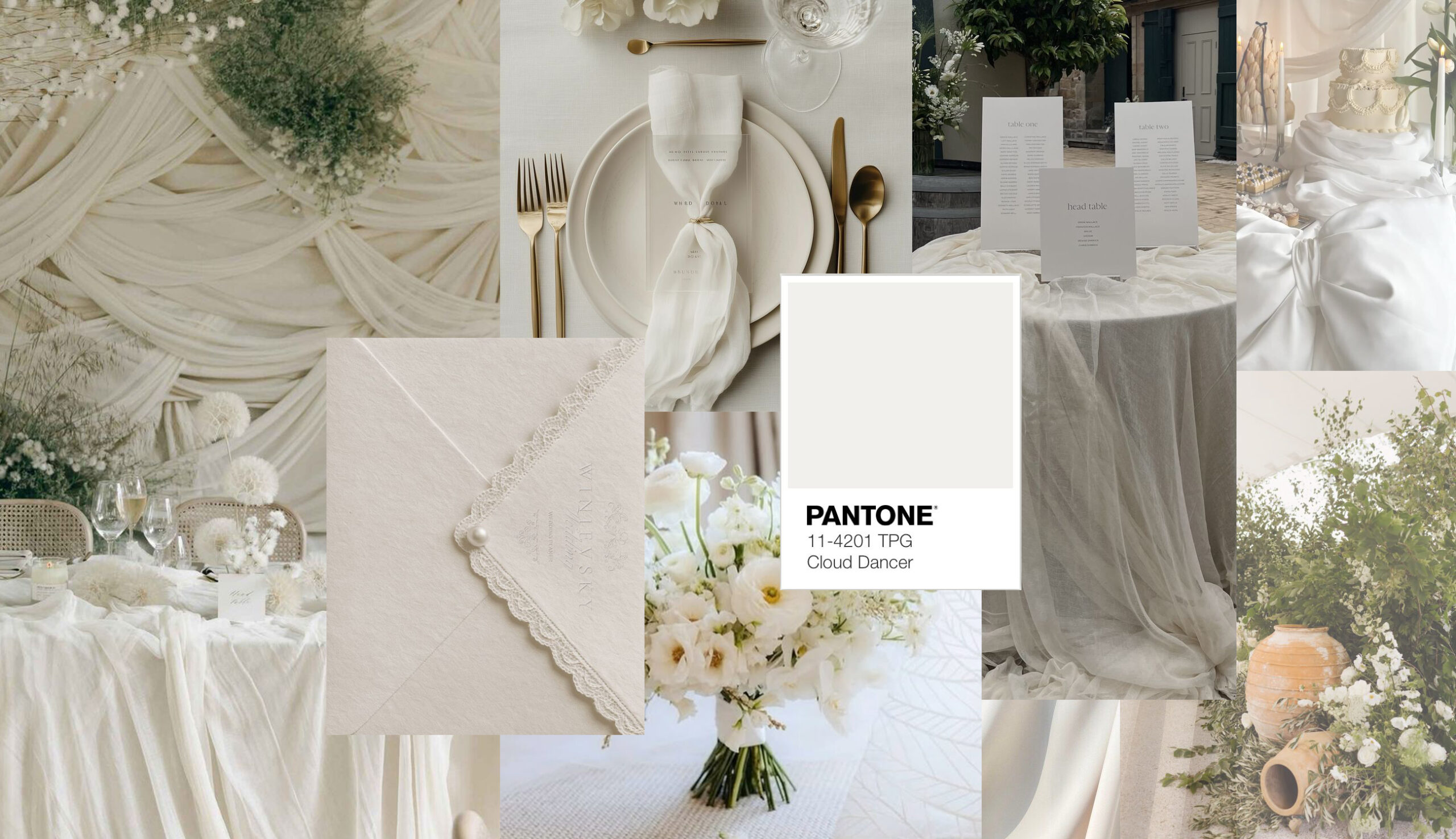 moodboard color del año 2026
